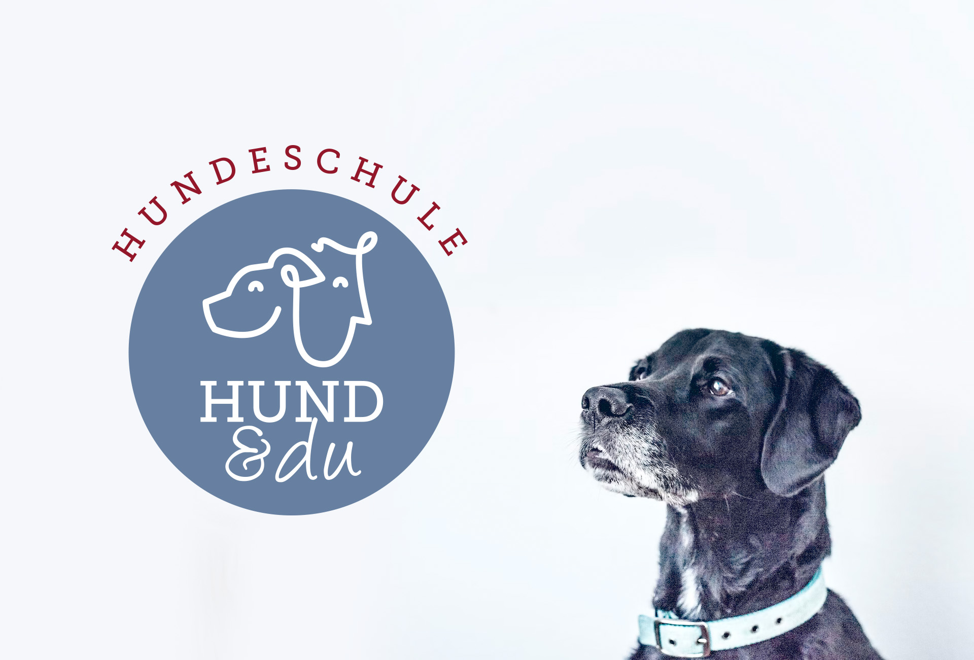 Hund und du